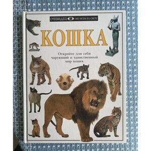 Кошка Откройте Для Себя Чарующие Таинственный Мир Кошек Cat Book in Russian DK